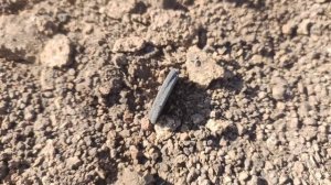 Nokta Simplex+  коп старины и монет 2020