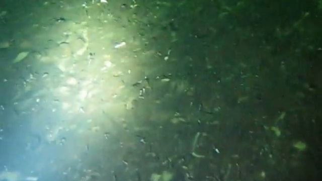 Плещеево озеро смотреть онлайн