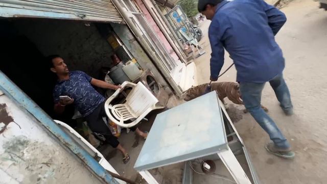 Duke tiger ban gaya 😯 смотреть онлайн