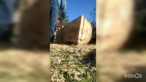распил дерева вдоль бензопилой