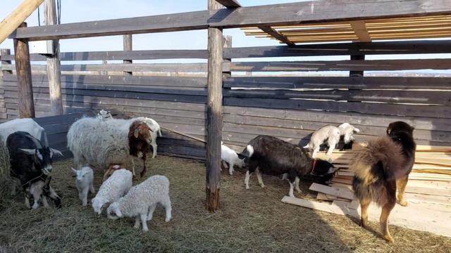 8 апреля 2023 г. смотреть онлайн