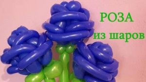 Розы из шаров. Как сделать. Мастер класс. Balloon roses. Balloons. DIY. Hand made. How make