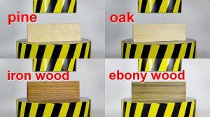 HYDRAULIC PRESS VS VARIOUS TYPES OF WOOD