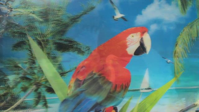 МОЛИТВА С ИИСУСОМ ПУТЬ У ЖИЗНИ смотреть онлайн