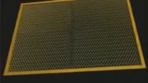 Как пчёлы  строят соты