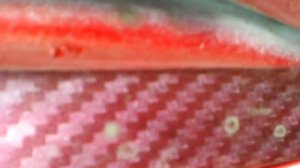 AUDI 80 Как устранить течь в багажнике!