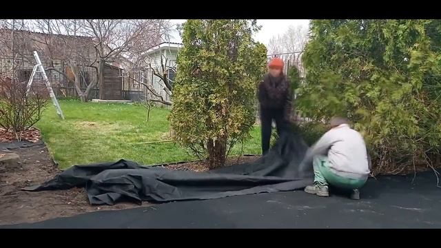 Стелим агроволокно на даче + засыпаем корой // боримся с сорняками смотреть онлайн