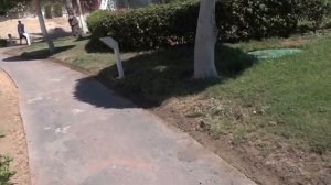 Египет Шарм-эль-Шейх отель Монте Карло