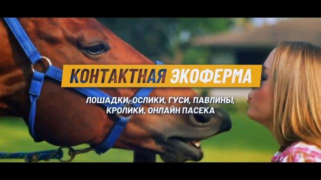 Экопарк "Легенды леса" - отель, глэмпинг, ресторан, баня, конные прогулки, прокат квадроциклов