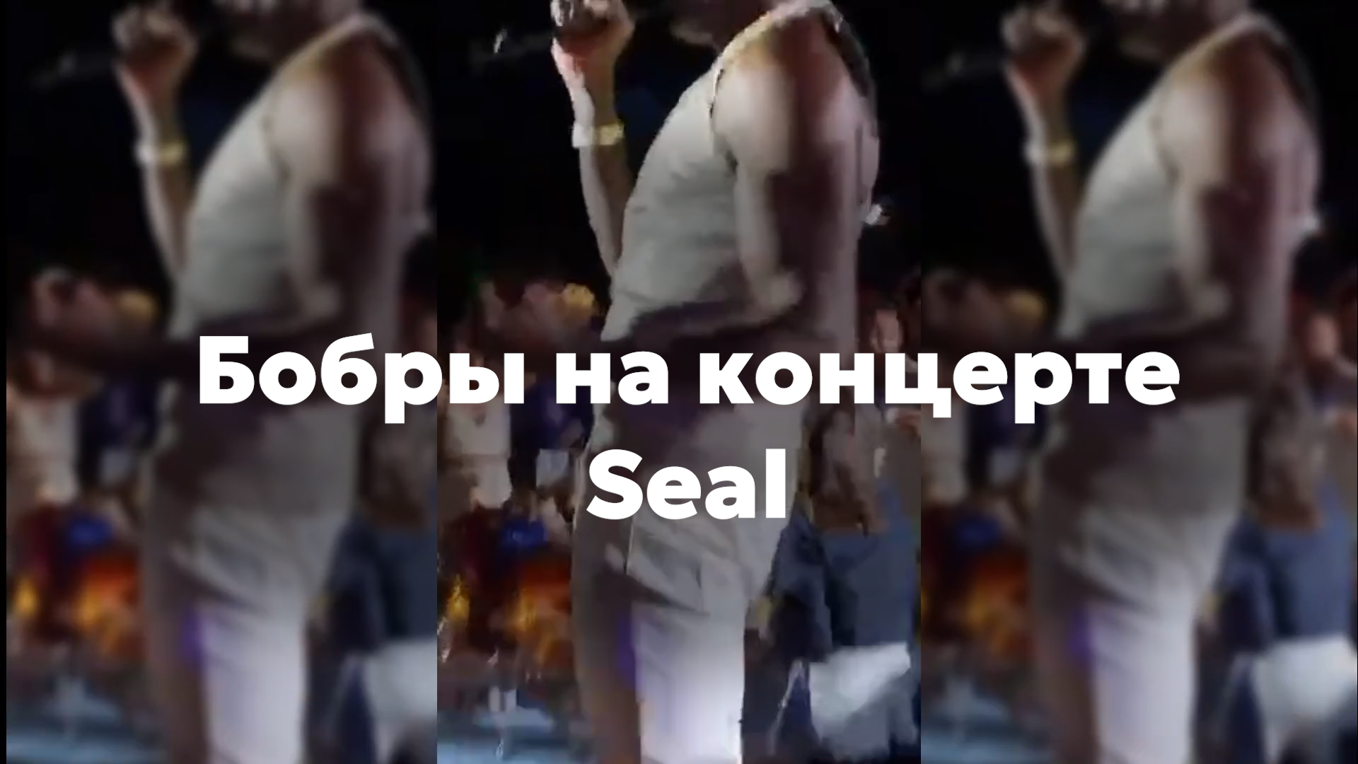 Бобры на концерте Seal | море, Seal, лодки
