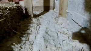 Солома и опилки - любовь навеки | Утепляю потолок | Моя Соломенная Фазенда