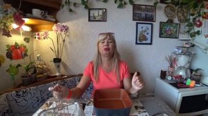 Индукционная плита + Сковорода 6в1 медно-керамическая