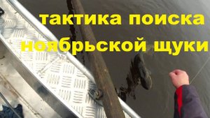 Тактика поиска ноябрьской щуки