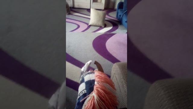 Не пишите в комы то что о боже маленькая с лошадкой на палочке кому не нравится проходите мимо смотреть онлайн