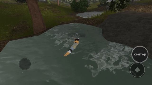 Коты-воители #11 ЗАБЕГ КОТОВ-ВОИТЕЛЕЙ #roblox (#Роблокс, #Оле7, #doohrysi) смотреть онлайн