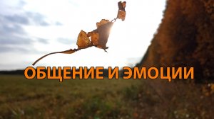 Общение и эмоции