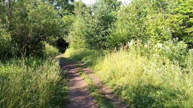#Влог #Жизнь #Ремонтнадаче Фронт работы ясен😌