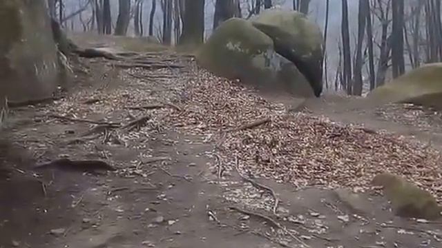 Зимний Туапсе: трекинг, рыбалка и солнечные ванны