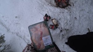 ИЗ МЕГАПОЛИСА В ТАЙГУ. КЕМПИНГ С ЛЮБИМОЙ В ГОРЯЧЕЙ ПАЛАТКЕ -17*. ВПЕРВЫЕ В СИБИРСКОЙ ТАЙГЕ.