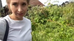 Моя заброшенная дача. Дачные будни. Крашу. Дачный сезон. #дача