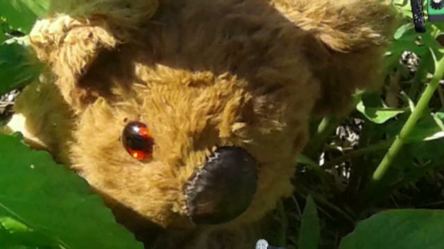 vegetables - 2nd album by the bloody trip hazzards смотреть онлайн