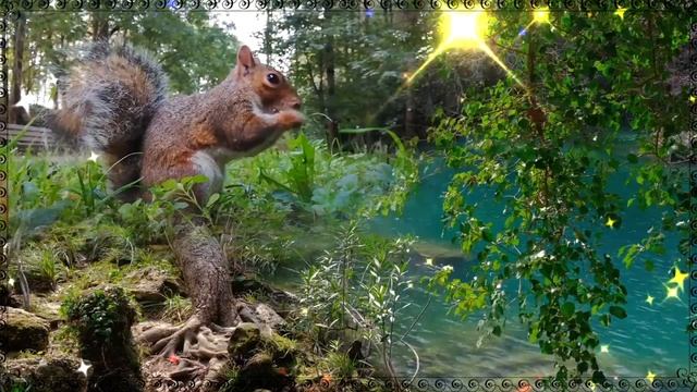 Самому любимому человеку ? Пожелания хорошего дня ? смотреть онлайн