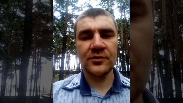 Сортировка круглого леса по диаметрам
