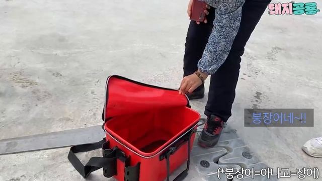 자급자족으로 스테미나를 올려보자! l ? 섬살이 смотреть онлайн