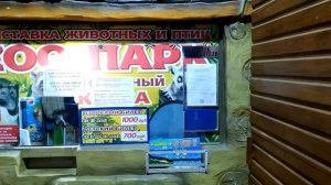 КРЫМ. АЛУШТА вечером КИШИТ. КОНЕЦ ЛЕТА. Гуляем по набережной. Кругом ЛЮДИ, заведения и аттракционы