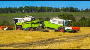 Уборочная, закончили пшеницу перегоняем на овес. Скорость на овсе сразу упала. Работаю  на Урале