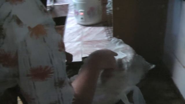 ТАЙЛАНД: Ищем барана на острове Чанг в Тайланде (Koh Chang) смотреть онлайн