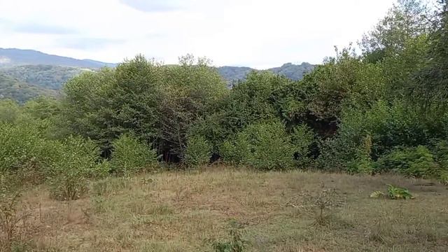 70 соток в Сочи по низкой цене