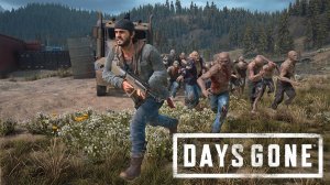 Орда из Твин-Крейтерс | Days Gone