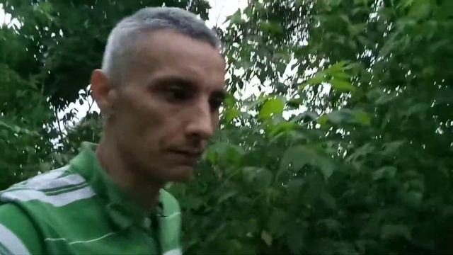 Анна Ахматова. "Я научилась просто, мудро жить...." смотреть онлайн