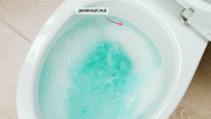 Напольный унитаз Patio от бренда Jacob Delafon.mp4