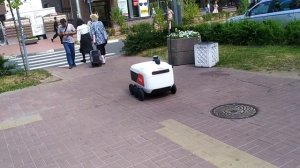 В западном Мурино появились чемоданы Яндекса.