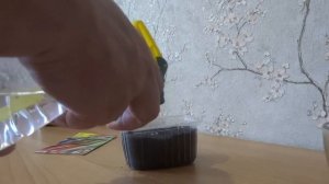 РЕВЕНЬ КРУПНОЧЕРЕШКОВЫЙ -ПОСАДКА . УХОД.