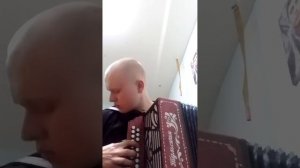 песня "К бате" под гармонь исп. Зарницын Николай