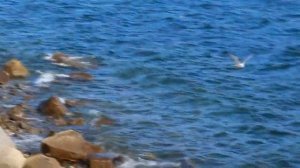 Магадан из окна автомобиля. Основные достопримечательности.