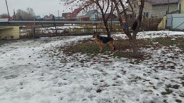 Герда. Пройден 11 уровень команды стоять-5 минут (супер выдержка).