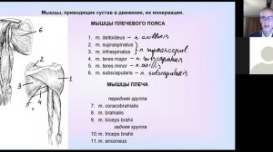 Плечевой сустав: связки строение. Мышцы, приводящие сустав в движение и их иннервация