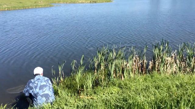 С добрым утром рыболов! смотреть онлайн