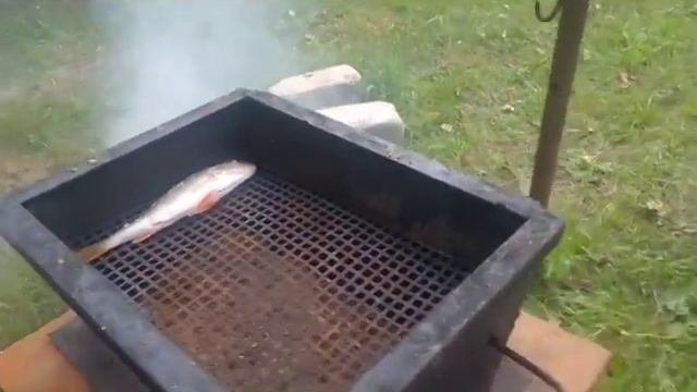 Горячее копчение/ Как правильно закоптить рыбу без предварительного засола.