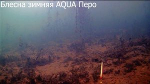 Блесна зимняя AQUA Перо