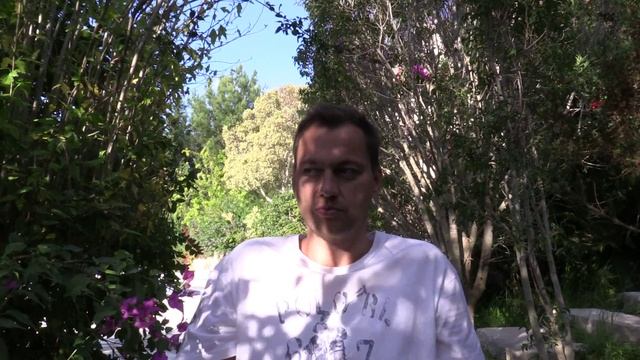 Лимон - особенности и свойства смотреть онлайн