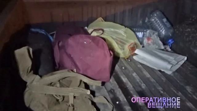 За незаконно подстреленного лося охотник угодил под «уголовку» смотреть онлайн
