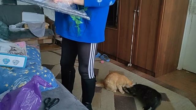 Покупки с Валдберис! Я довольна!!! смотреть онлайн