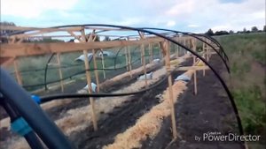 Обзор системы туманообразования фирмы Hadar в теплице для укоренения голубики