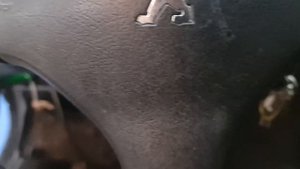 Problema luz do abs acesa peugeot 206!Erro C1380 Bomba do abs