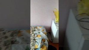 Обзор номера, Красный Бор санаторий Смоленск